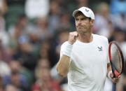 开云体育APP下载-关于日本网球队鏖战美国网球队，穆雷高光表现的信息