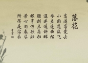 开云-2026世界杯G组绝地反击，比利时逆转法国，穆西亚拉致命一击书写永恒传奇