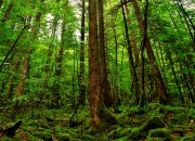 开云平台-37秒11分，马克西的瞬时宇宙如何重新定义篮球时间