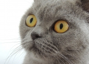 开云体育官网-制造无解困境，卡马文加如何让亚特兰大的逆转在无声处完成