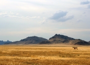 开云-唯一性，阿圭罗于东北亚寒夜写下瑞典黄昏