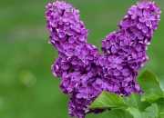 开云体育在线-东决关键战之夜，爱德华兹以神迹征服世界，赛后评分系统为他爆表