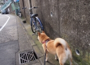 开云下载-赛道上没有巧合，当C罗的战术板划过F1街道赛的夜空