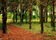 开云-当东方铁骑遭遇西方雷霆，锡安化身破阵矛，广东跨联赛掀翻NBA劲旅