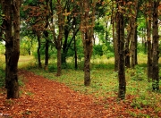 开云-当东方铁骑遭遇西方雷霆，锡安化身破阵矛，广东跨联赛掀翻NBA劲旅