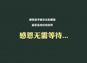 开云体育在线-双城绝唱，当国家德比的硝烟散去，密尔沃基的钟声为孤胆英雄奏响