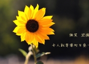 开云平台-戈麦斯攻防一体，葡萄牙全面压制佛罗伦萨—一场教科书式的统治