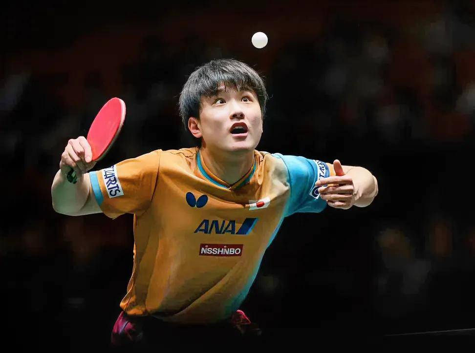 韩国队横扫德国队，张本智和带队取胜