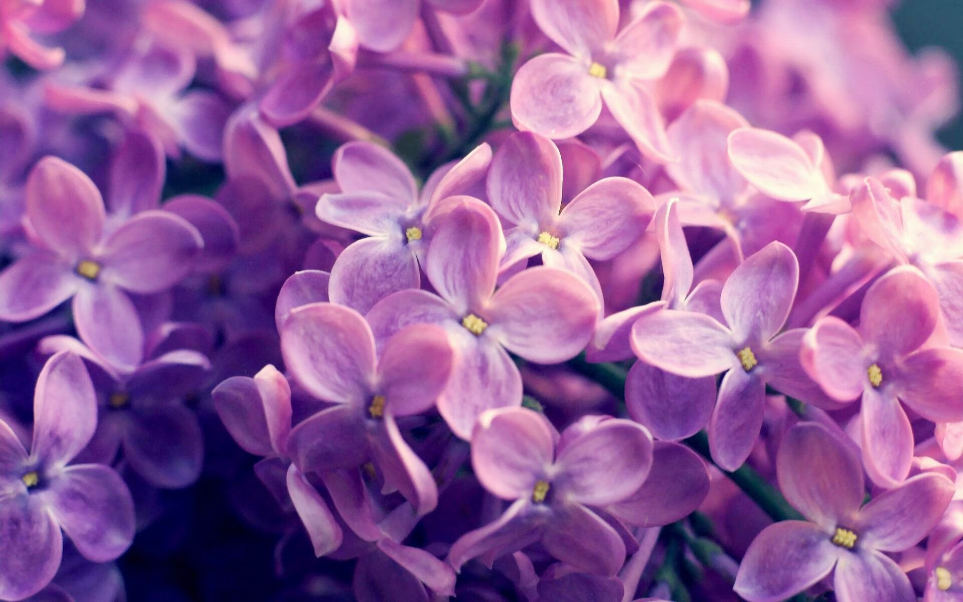 剑指巴黎的最后一舞，乔治关键夜独掌乾坤