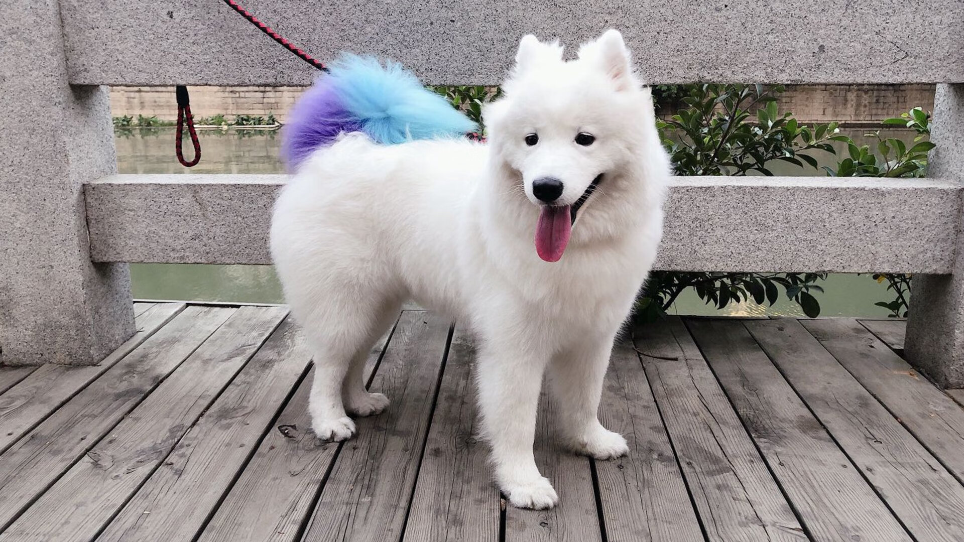 剑指巴黎的最后一舞，乔治关键夜独掌乾坤