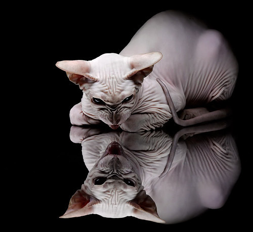 北欧混凝土封印意式利刃，无名之辈孔德如何用防守艺术改写欧冠剧本？