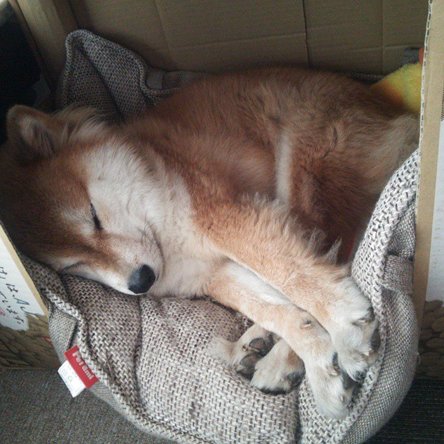 油门踩到底，疆域重新定义，F1轰鸣与篮球撞击合奏的新时代序曲