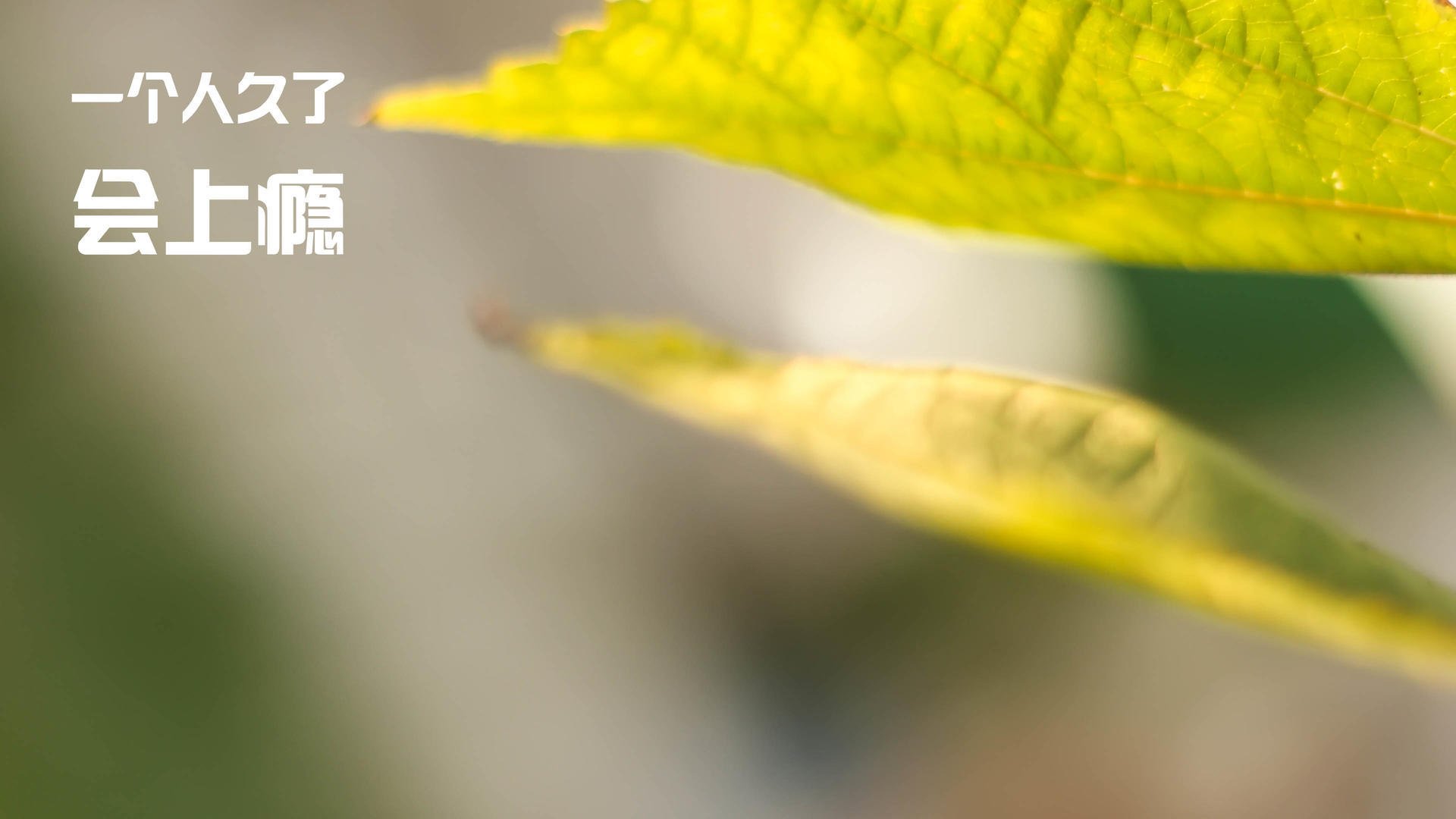 唯一锋矢，欧冠决赛夜，卢卡库如何一人凿穿钢铁防线