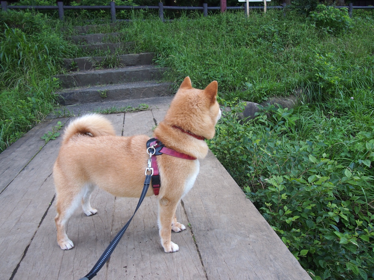 雕塑时光，拉亚用两记重锤，将混沌的比赛钉成永恒经典