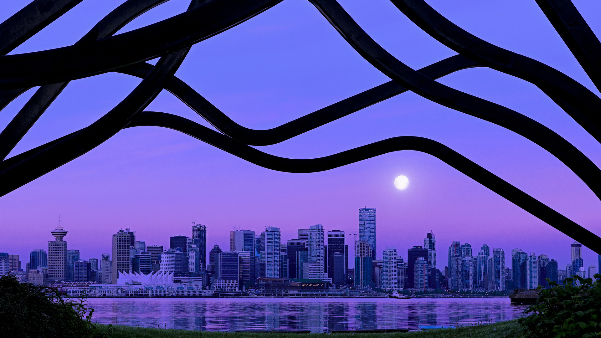 轮胎上的拳王,当武切维奇在揭幕战之夜让悬念提前退赛