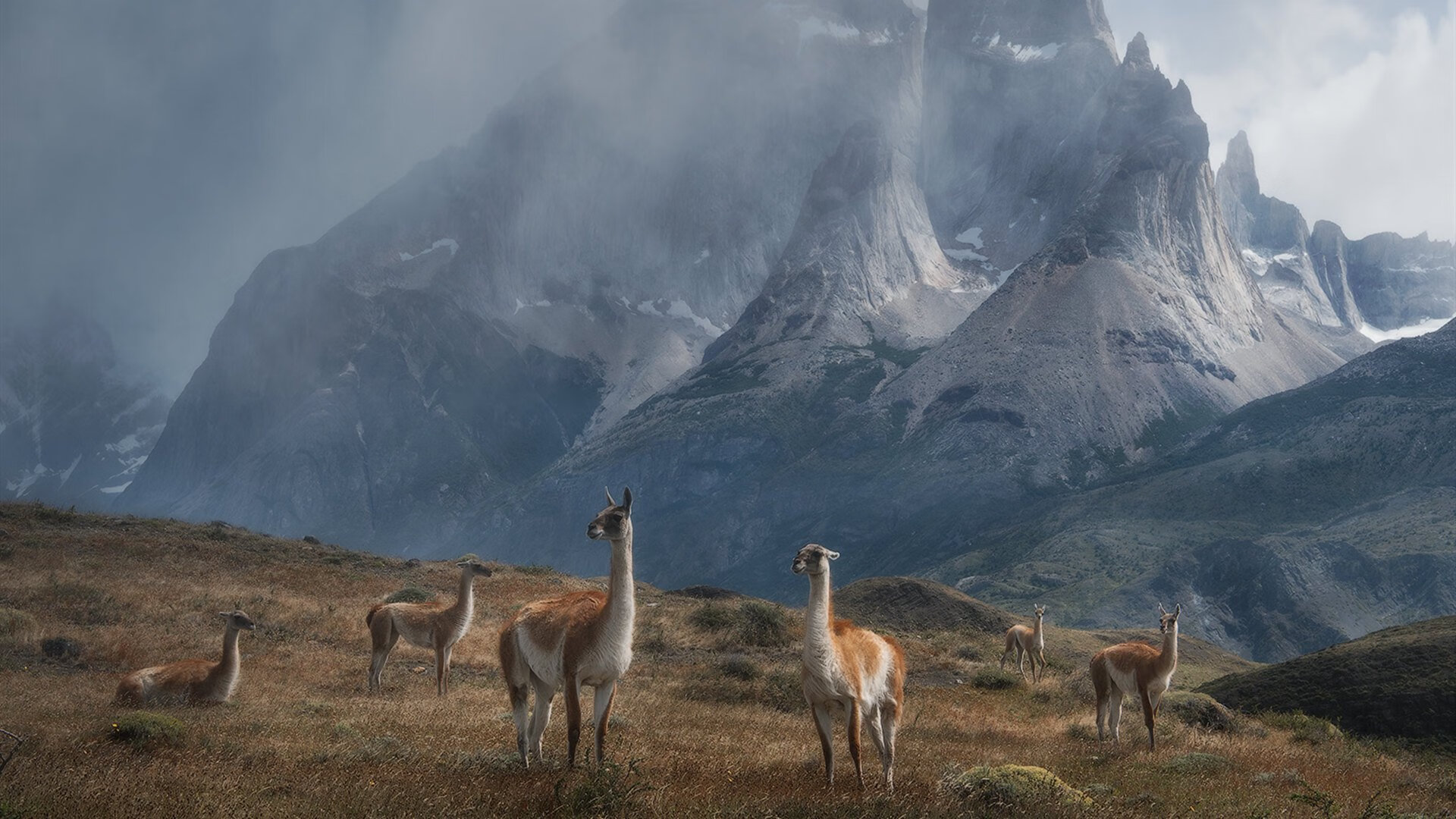 范戴克一锤定音，苏格兰打破半个世纪魔咒完胜法国