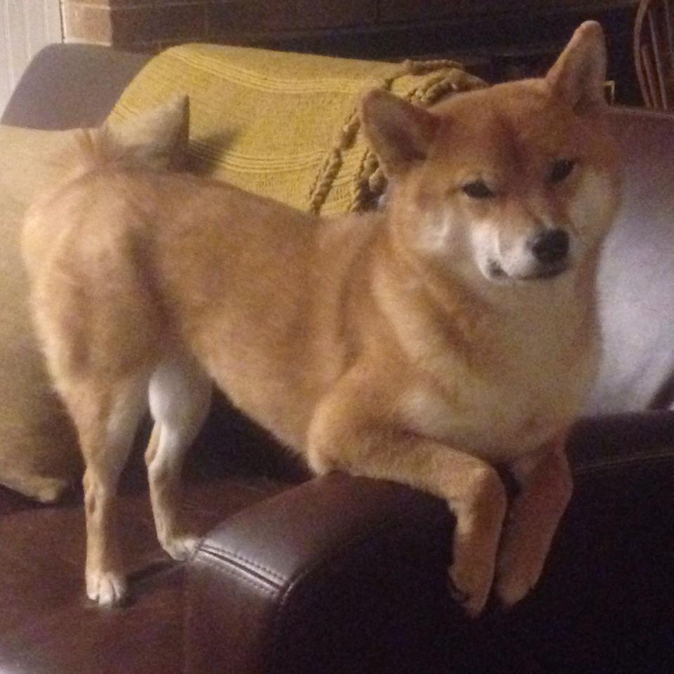 欧冠决赛之夜,马丁内利,暗夜中那抹唯一的彗星