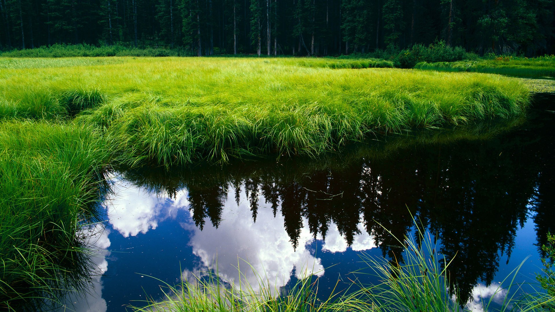 西甲国家德比之夜,当篮球飞向点球点,拉文在伯纳乌关键时刻站出来