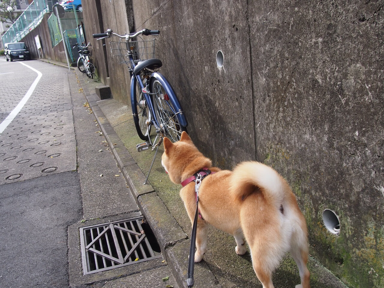 唯一先生！黄喜灿致命一击助英格兰轻取黄色潜水艇