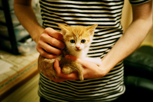 祭坛坍塌与新时代，当威尔士的叹息，遇见罗德里戈的加冕礼