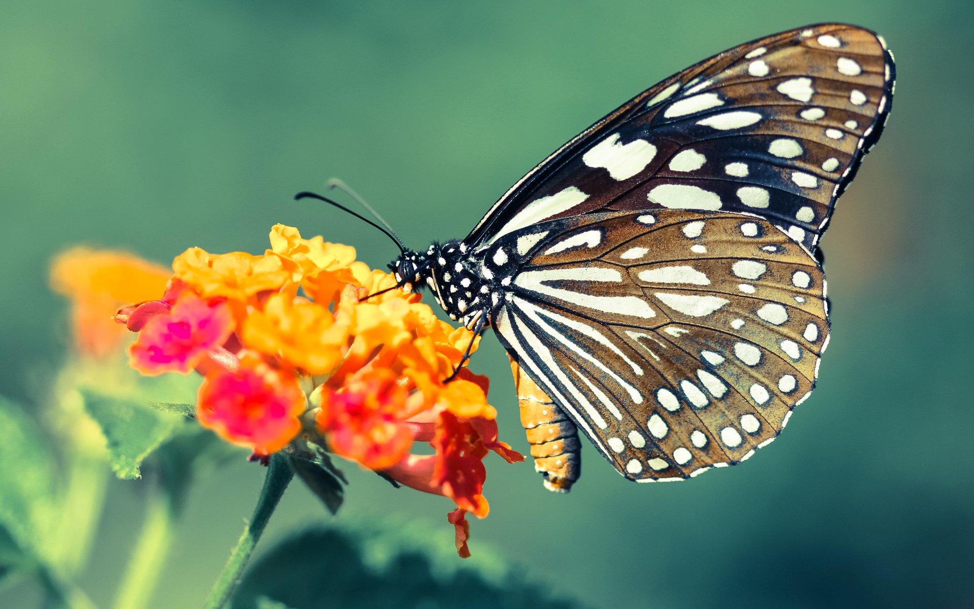 唯一性，阿圭罗于东北亚寒夜写下瑞典黄昏