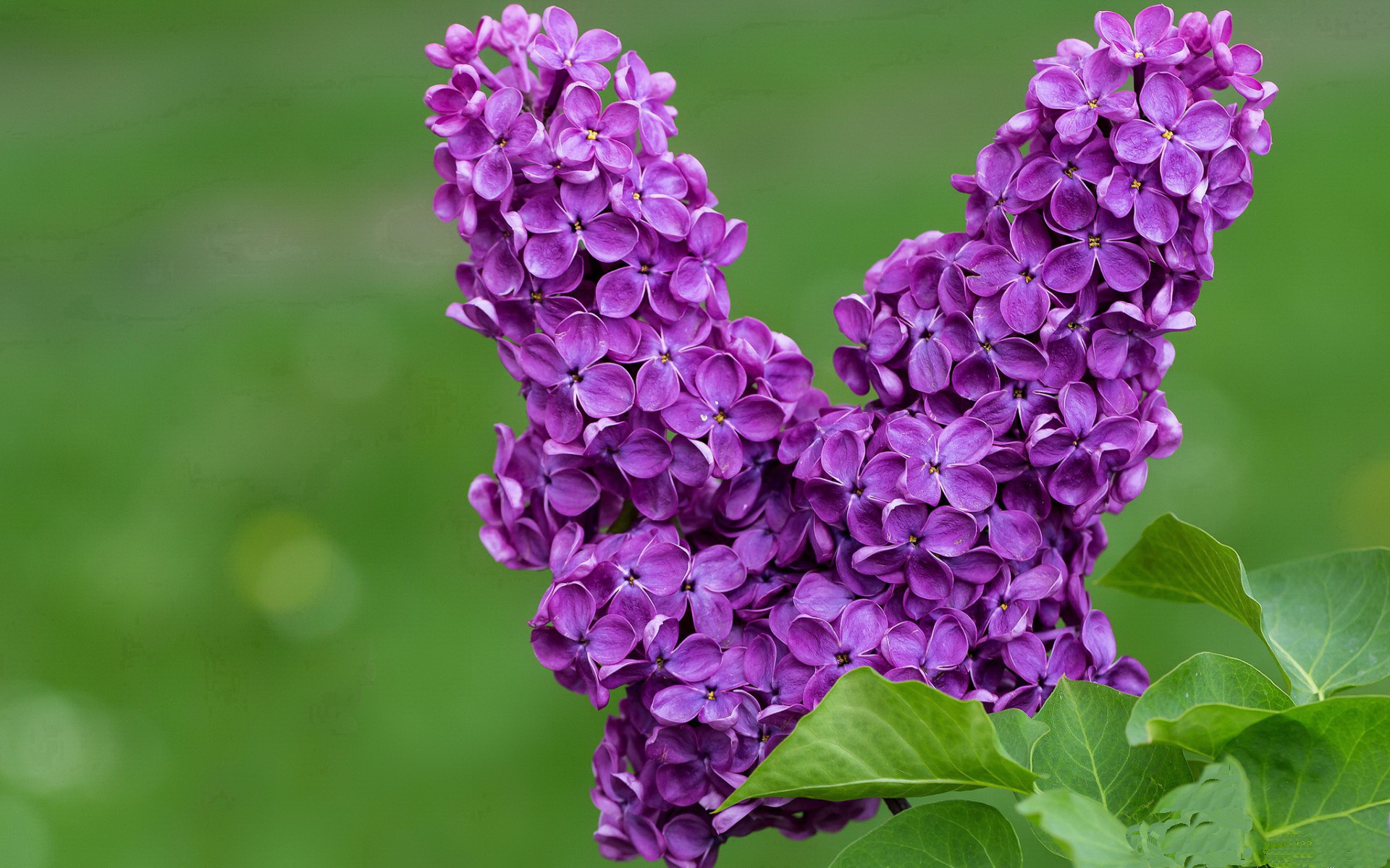 东决关键战之夜，爱德华兹以神迹征服世界，赛后评分系统为他爆表