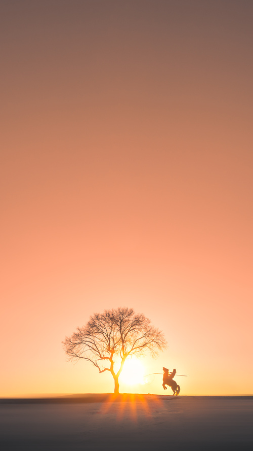 标准之战，英超用争冠定义高度，上海队在森林狼面前丈量差距