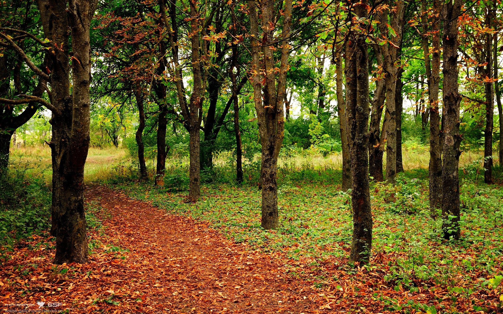 当东方铁骑遭遇西方雷霆，锡安化身破阵矛，广东跨联赛掀翻NBA劲旅