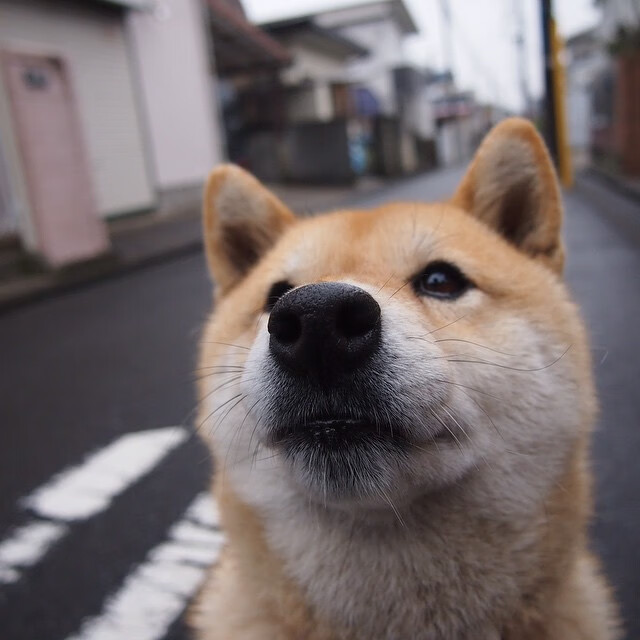 范弗利特，一名沉默的战术测绘员如何让胜负天平骤转