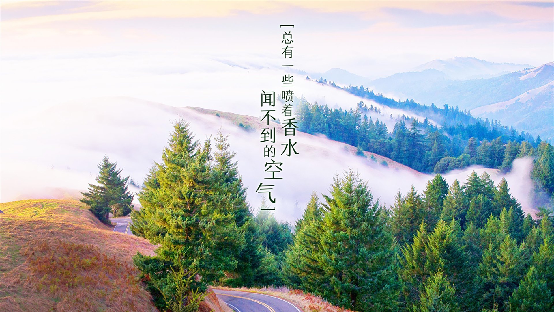 唯一指针，在奥运周期的暗夜，利拉德将时间刻成自己的碑铭