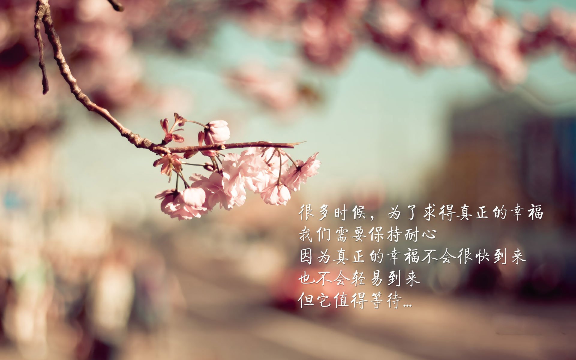 沙漠之狐的复仇，2026世界杯F组关键战，伊拉克完胜乌拉圭，拉什福德带队书写历史