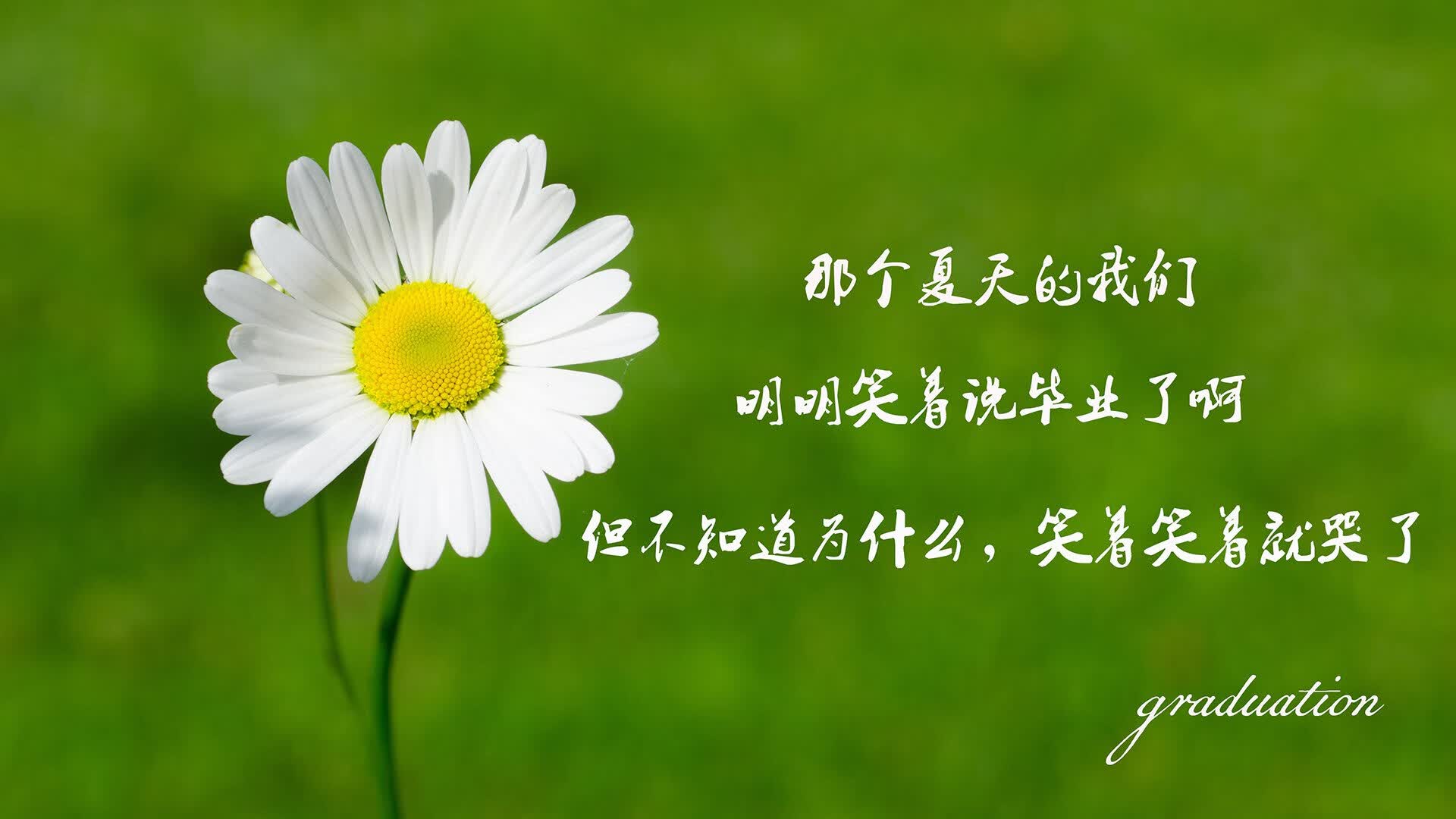 沙漠之鹰折翼蓝海，努涅斯的致命一击，如何让澳大利亚在2026世界杯A组完成文明对野性的降维打击