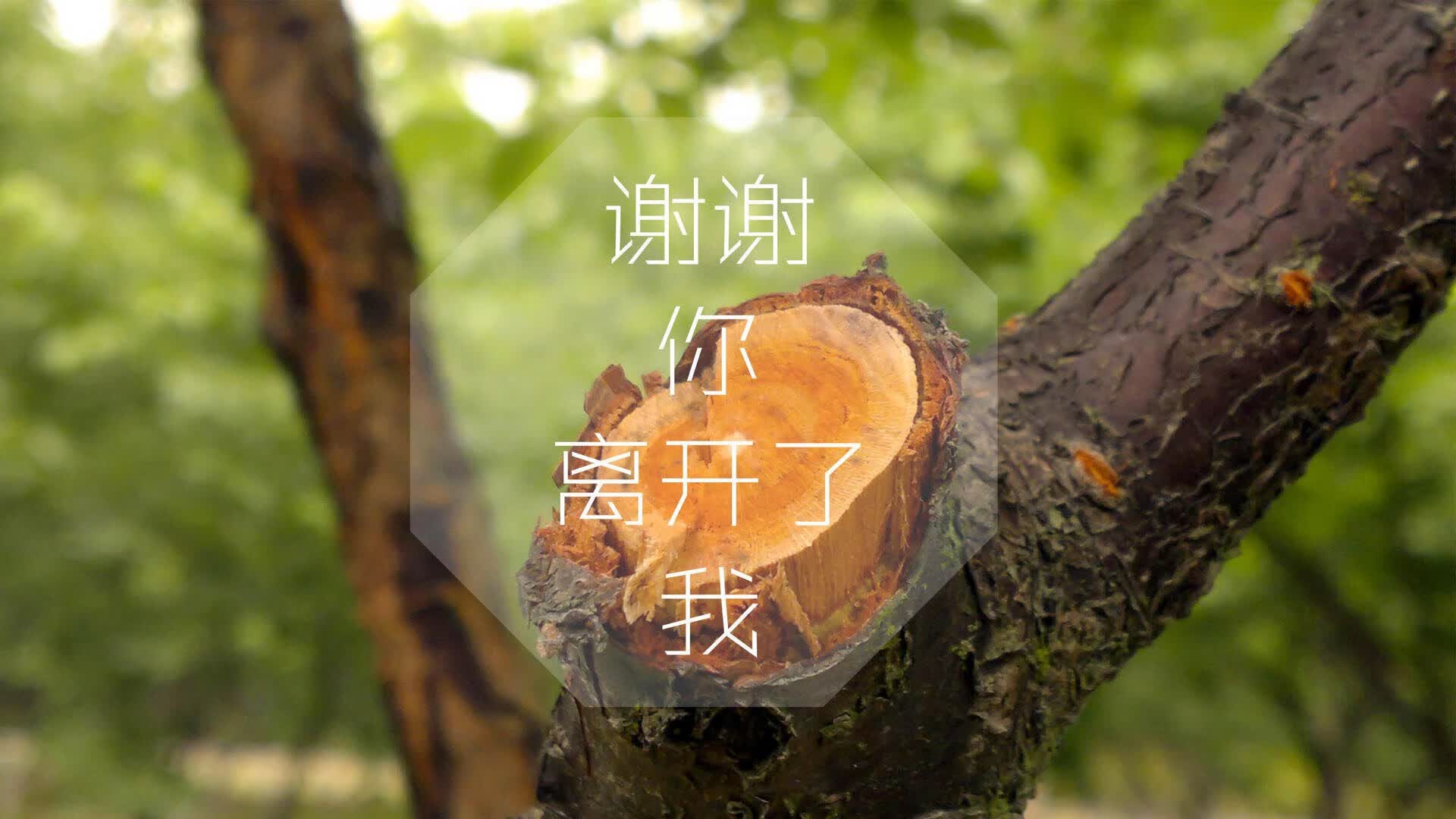 2026生死夜，捷克铁骑踏碎枫叶之梦，梅西孤星闪耀北美苍穹
