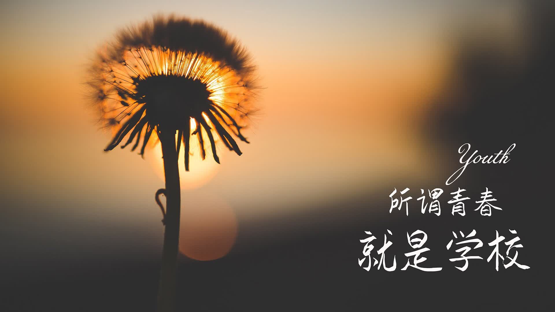 新王当立，当印度在2026世界杯掀翻葡萄牙，足球版图迎来最震撼的涟漪